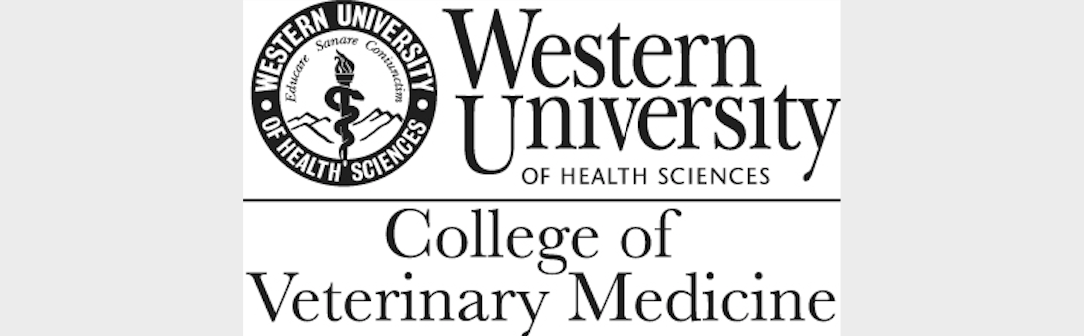 Western Logo Long Western Logo Long