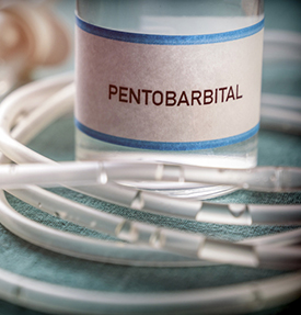 pentobarbital vial