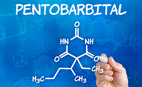 Pentobarbital