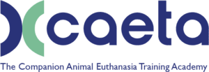 CAETA Logo With Words