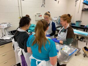 cooney lab