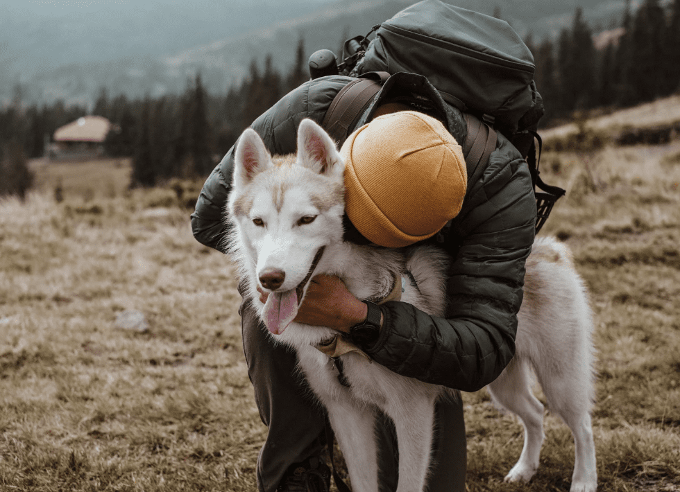 Common Complaints About Pet Euthanasia - CAETA