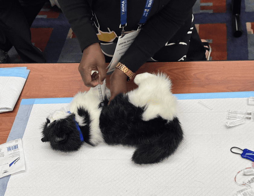 Moving Away From Cadavers in Pet Euthanasia Training - CAETA