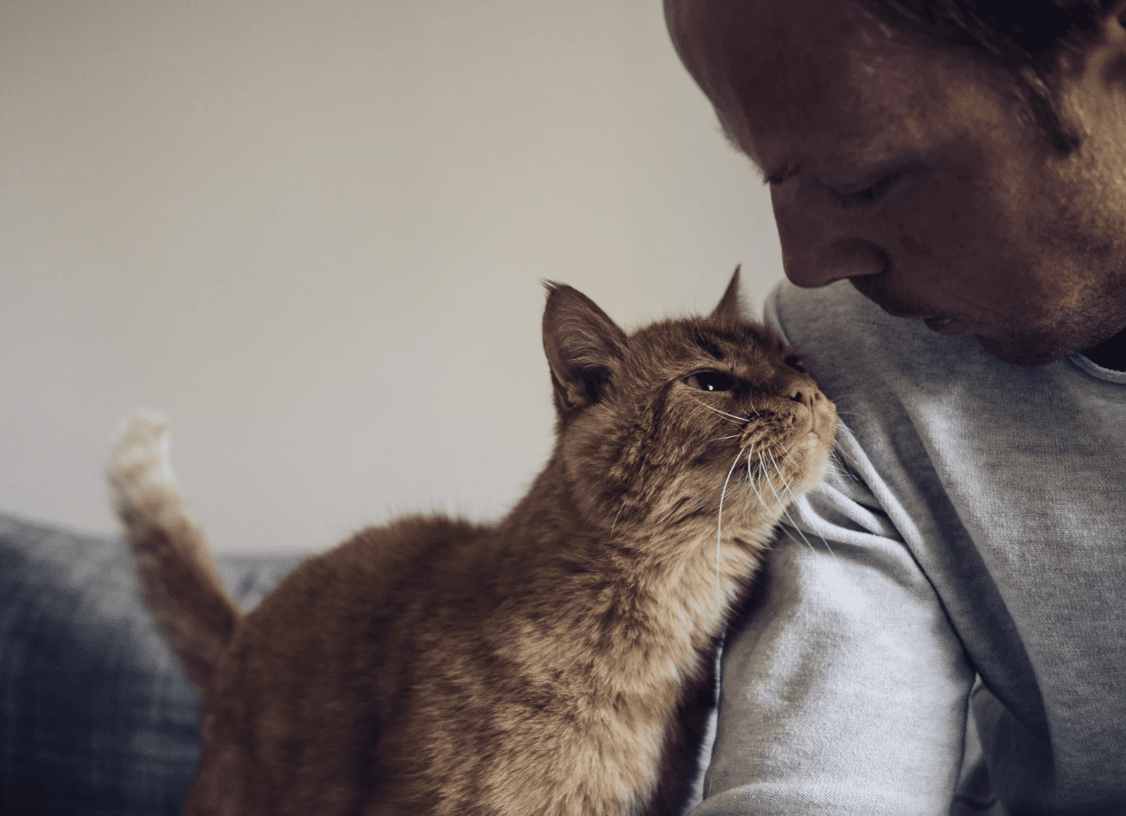 Passive Euthanasia in Companion Animals - CAETA