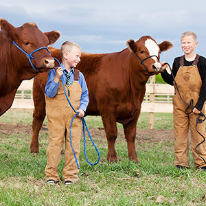 livestock-euthanasia-300x300